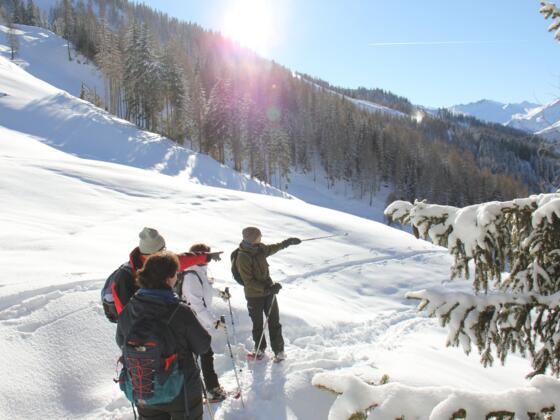 Dorfgastein Winter