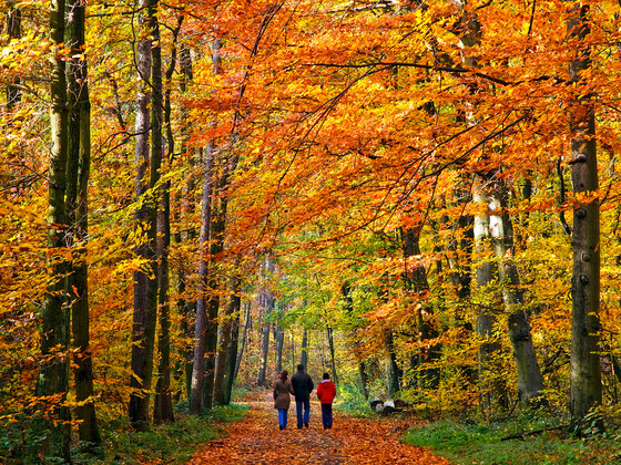 Wandern im Rodachtal