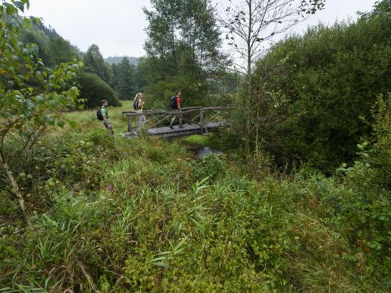 Wanderung durchs Hafenlohrtal