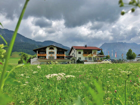 Bergsommer im Tannheimertal