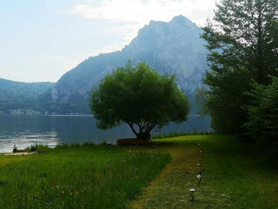 Badeplatz mit Weide und Traunsteinblick