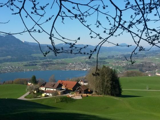 Gesundheitshof Daxinger