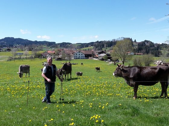 Biolandhof Johannes Hörburger in Memhölz