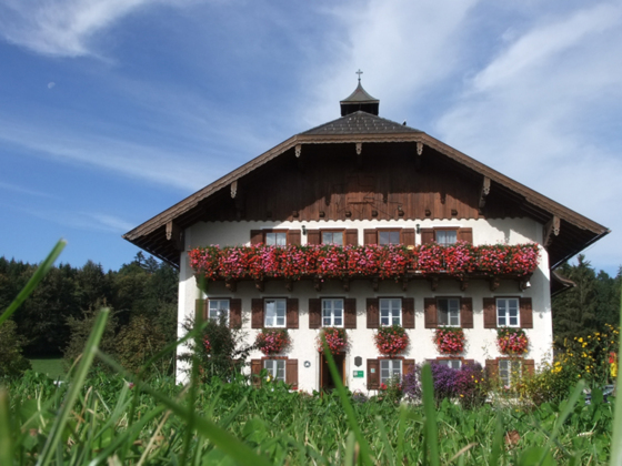 Bauernhof Hinterstrasser