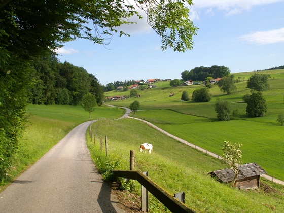 Teisenberg Runde