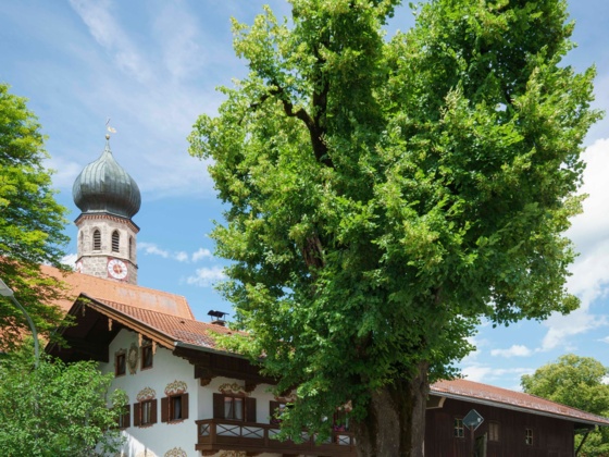 Warngau