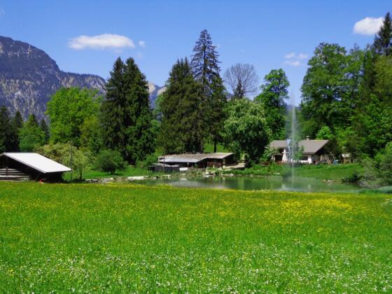 Kochelberg-Alm