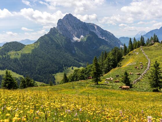 Am Hofalmsattel, Blick zum Bosruck.