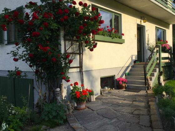 Haus 49 Eingang Erdgeschoss-Wohnung