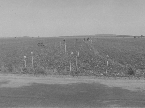 Wiese Staatsstraße