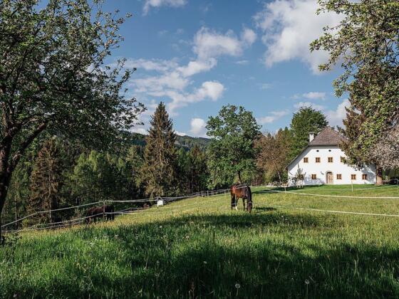 csm_doerfl_20_0608_fin_2500px_c2c90ab6a5