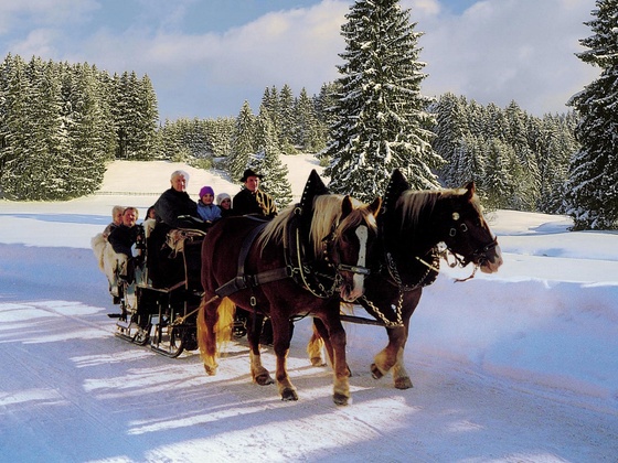 pferdekutsche_maier_quer