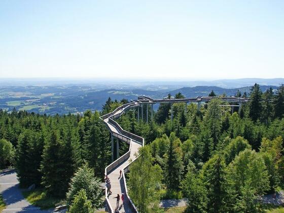 WaldWipfelWeg