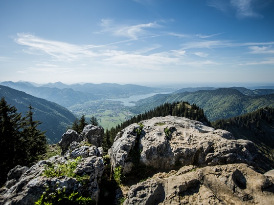 Bodenschneid