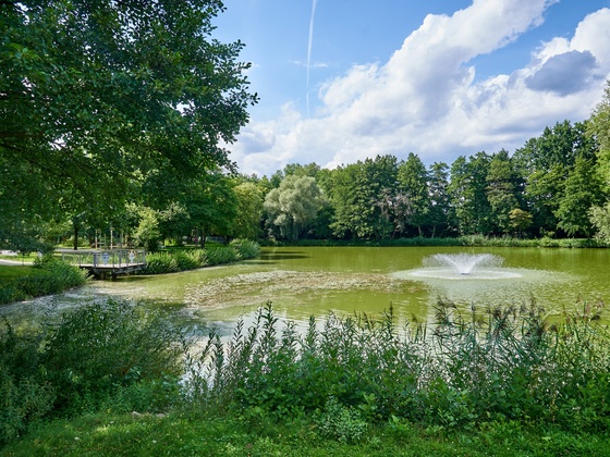 Kursee