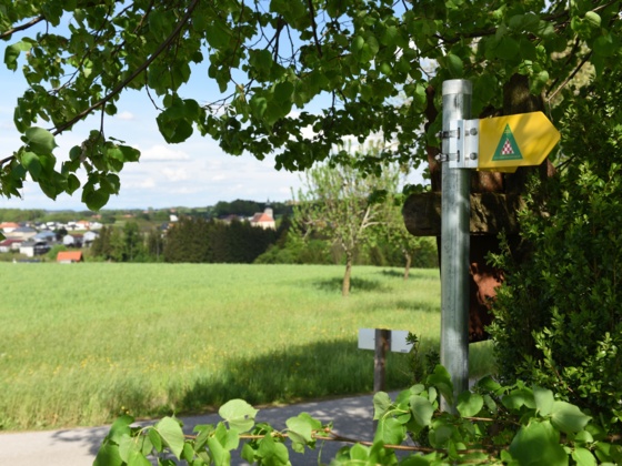 Blick auf Adlwang