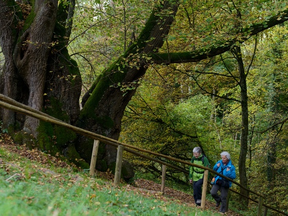 Tassilo Linde bei Wessobrunn