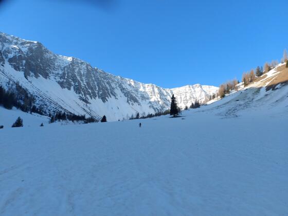 Die Almböden nach der Gartneralm