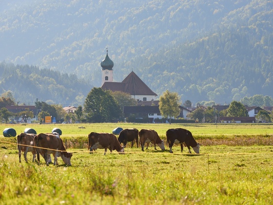 Eschenlohe im ZugspitzLand