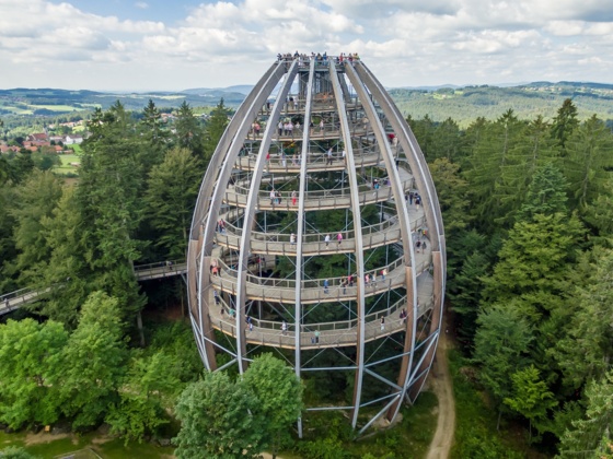 Baumwipfelpfad