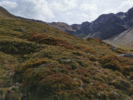 BHG - Klim naar de Hagenerhütte