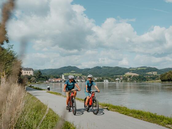 Radtour am Donauradweg Grein