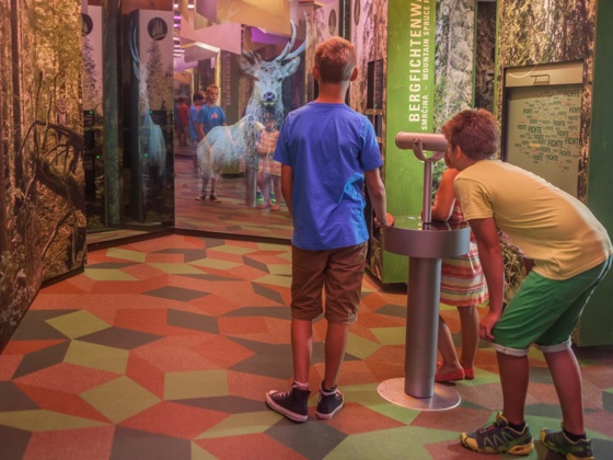 Waldgeschichtliches Museum