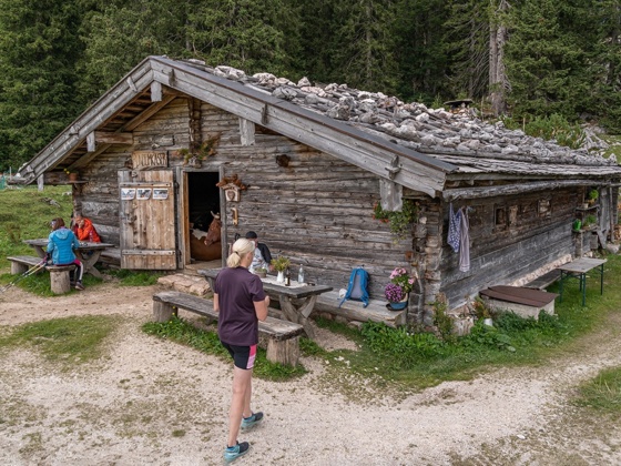 Der Rundumkaser auf der Moosenalm