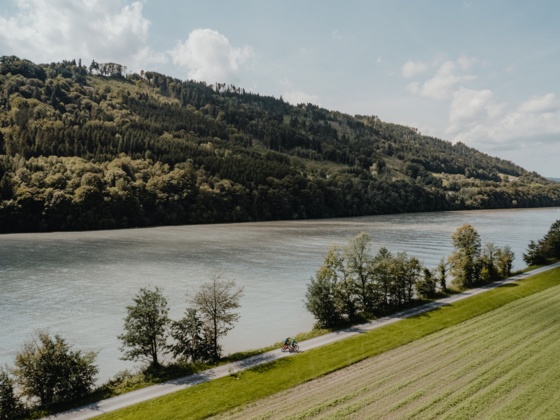 Donauradweg in Freizell