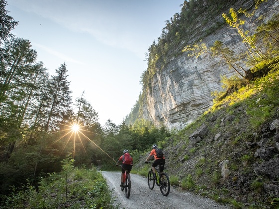 Gravelbike Tour rund um den Sarstein