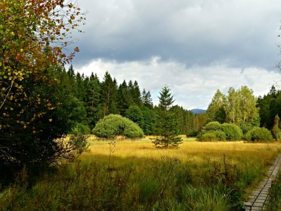 Klosterfilz und Großer Filz