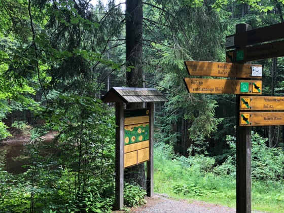 Wege durch Natur und Zeit