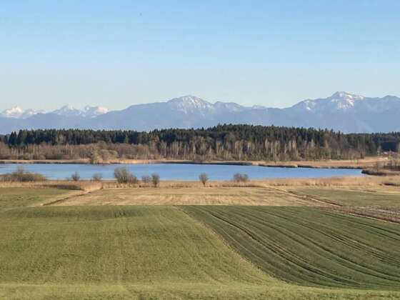 Alpenpanorama hinter dem Eschenauer See