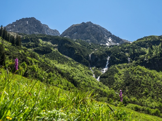 Auf dem Weg zur Fluchtalpe