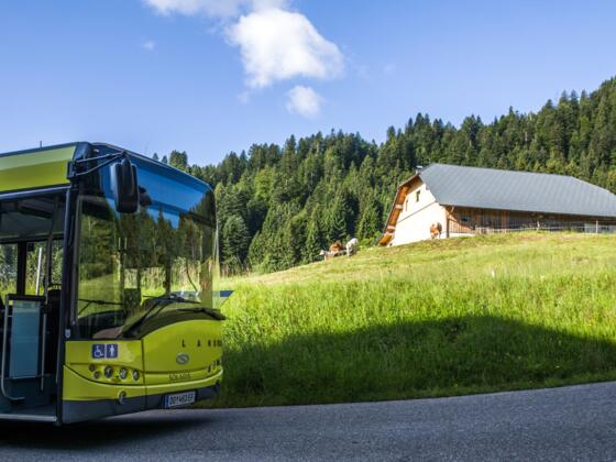 Bushaltestelle beim der Alpe Heumöser, Dornbirn-Ebnit