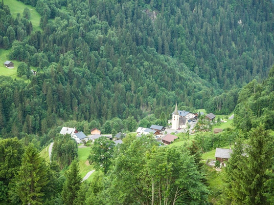 Blick auf Buchboden