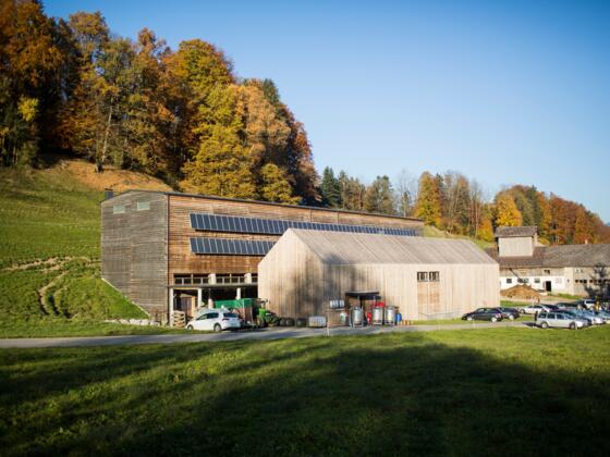 Metzler Käse-Molke GmbH, Egg