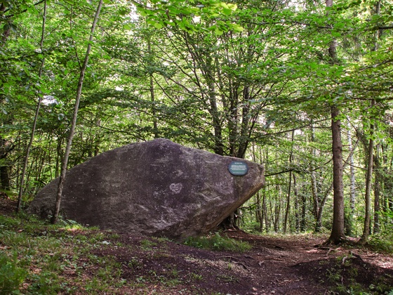 Naturdenkmal Grauerstein