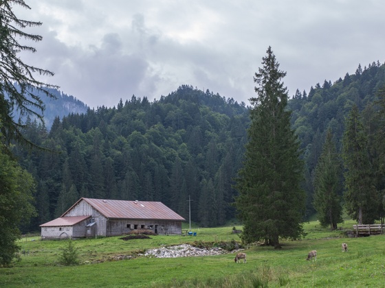 Blick auf Obere Auenalpe