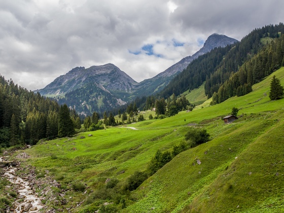 Blick ins Rellstal, im Hintergrund Saulakopf und Lünerkrinne