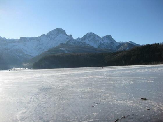 Natureisfläche am Almsee