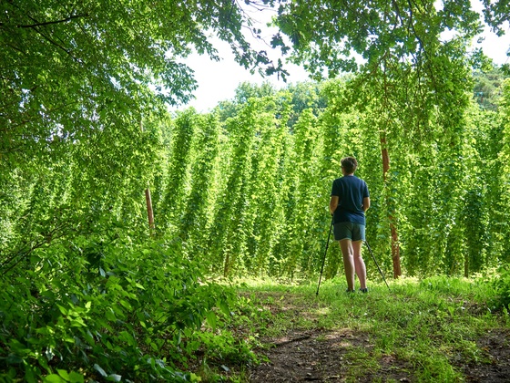 Grüne Naturkulisse