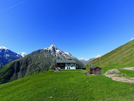 Stableinalm