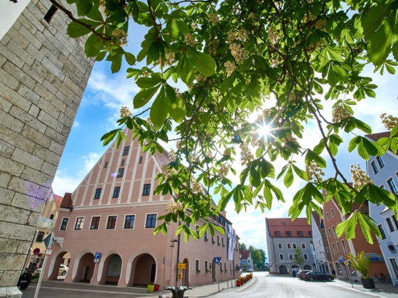 Rathaus in Neustadt