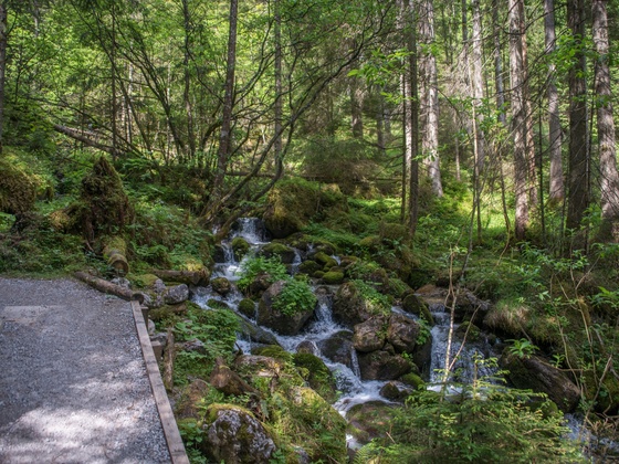 Wallfahrerweg entlang des Floderbachs nach Maria Kirchental