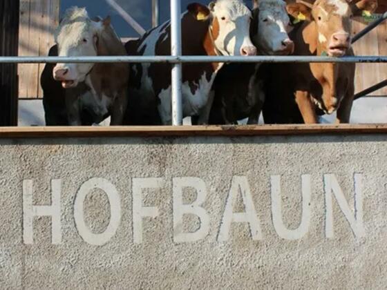 Biohhof Hofbaun