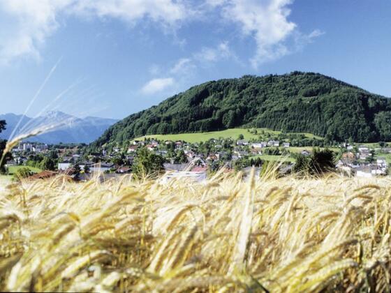 Pinsdorf