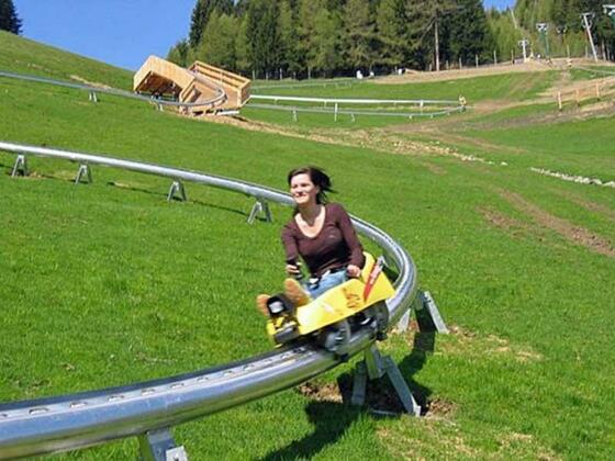 Sommerrodelbahn Grünbergflitzer (c) Brandauer GmbH