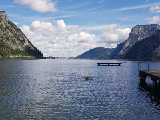 Ausblick auf den Traunsee