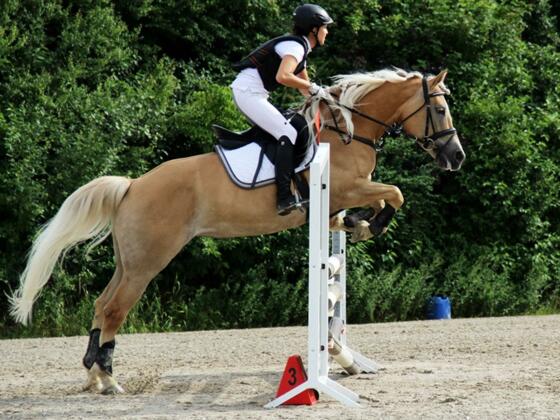 Reitverein Grünau im Almtal